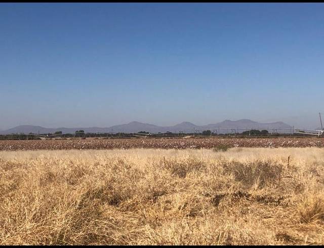 FARM FOR SALE IN THABAZIMBI